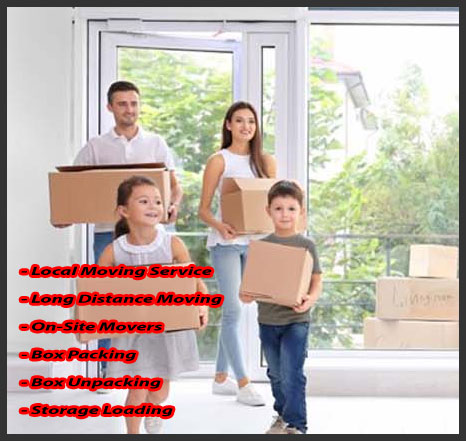 Noida Packers And Movers Sector 16